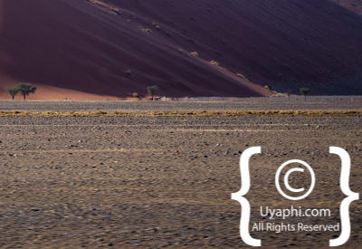 Namib Desert Photos