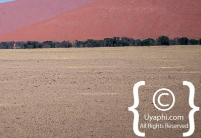 Namib Desert Photos