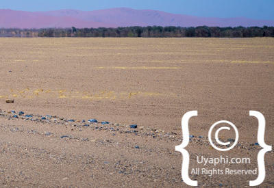 Namib Desert Photos