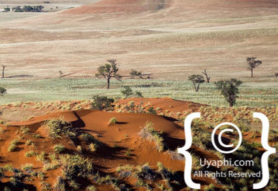 Namib Desert Photos