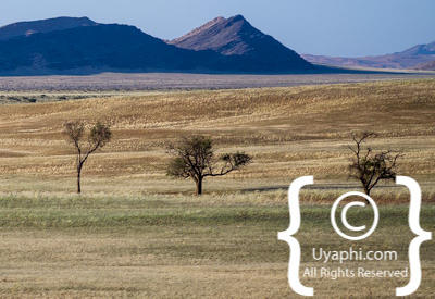 Images Of The Namib Desert