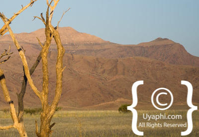 Images Of The Namib Desert