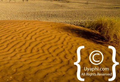 Images Of The Namib Desert