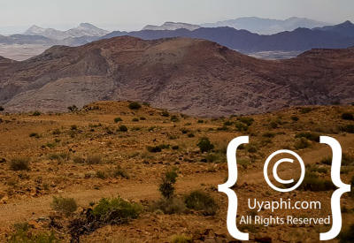 Images Of The Namib Desert