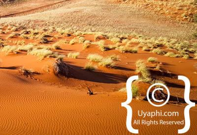 Images Of The Namib Desert
