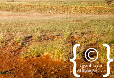 Images Of The Namib Desert