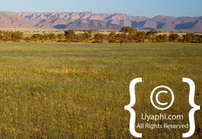 Images Of The Namib Desert