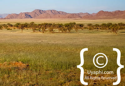 Images Of The Namib Desert