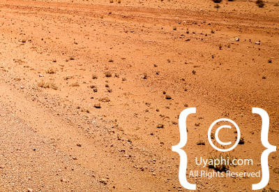 Images Of The Namib Desert