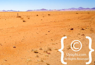 Images Of The Namib Desert