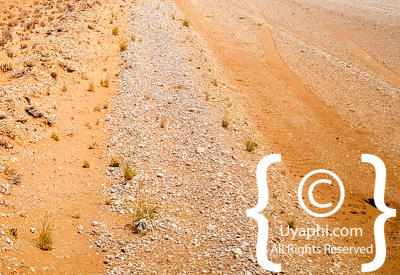 Images Of The Namib Desert