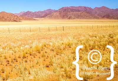 Images Of The Namib Desert