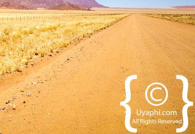 Images Of The Namib Desert