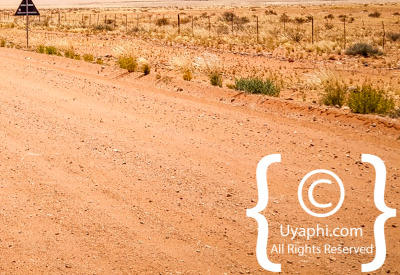 Images Of The Namib Desert