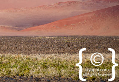 Namib Desert Photos