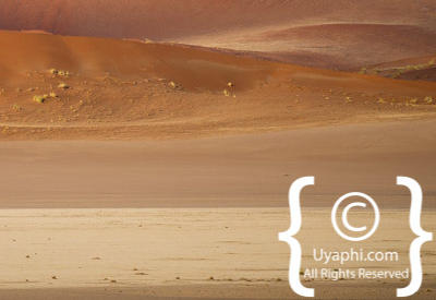Namib Desert Photos