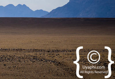 Namib Desert Photos