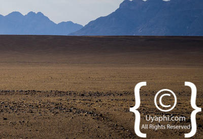 Namib Desert Photos