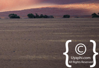 Namib Desert Photos