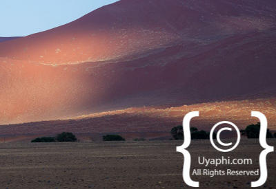 Namib Desert Photos