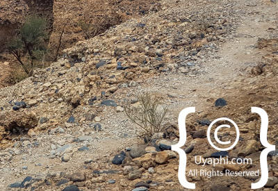 Images Of Sesriem Canyon