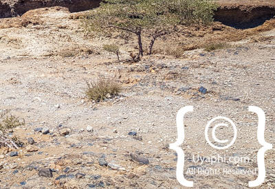 Sesriem Canyon Photos