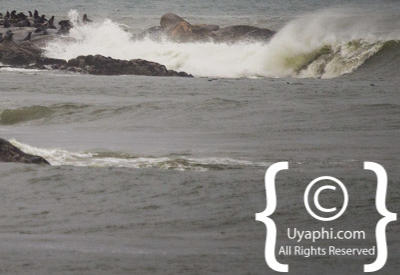 Skeleton Coast Photos