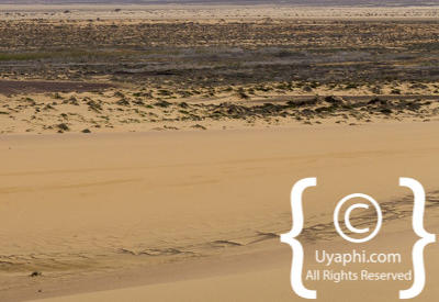 Skeleton Coast Photos