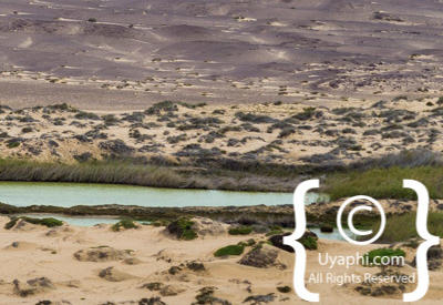 Skeleton Coast Photos