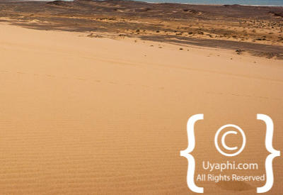 Skeleton Coast Photos