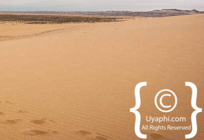 Skeleton Coast Photos