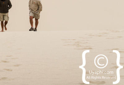 Skeleton Coast Photos