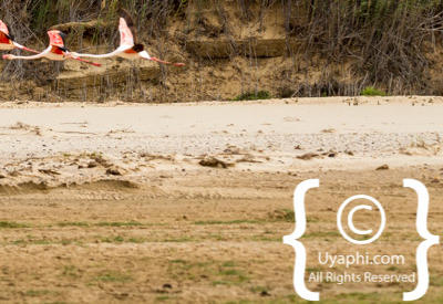 Skeleton Coast Photos