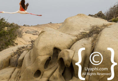 Skeleton Coast Photos