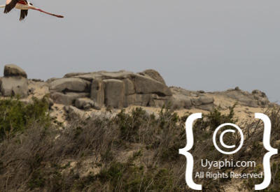 Skeleton Coast Photos