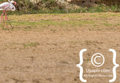 Skeleton Coast Photos