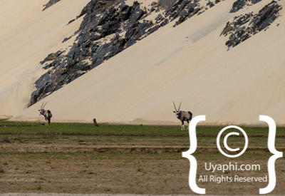 Skeleton Coast Photos