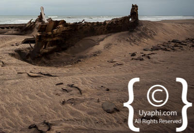 Skeleton Coast Photos