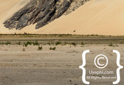 Skeleton Coast Photos