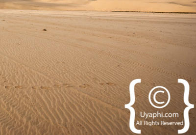 Skeleton Coast Photos