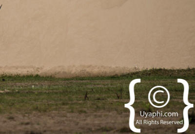 Skeleton Coast Photos