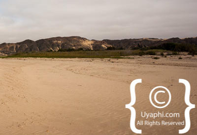Skeleton Coast Photos