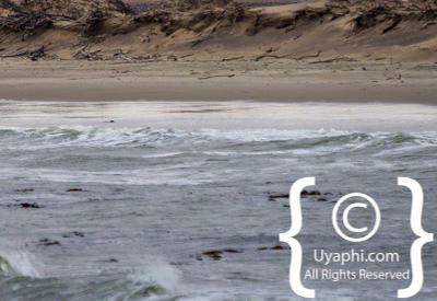 Skeleton Coast Photos