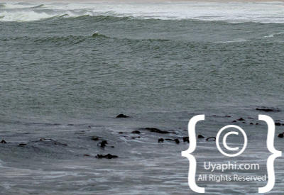 Skeleton Coast Photos