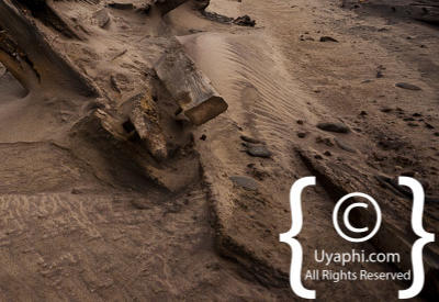 Skeleton Coast Photos