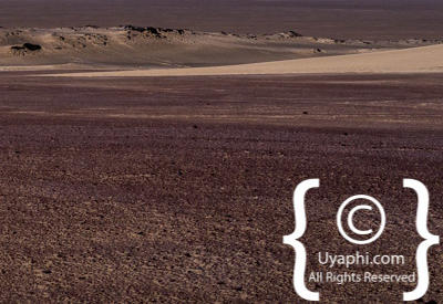 Images Of The Skeleton Coast
