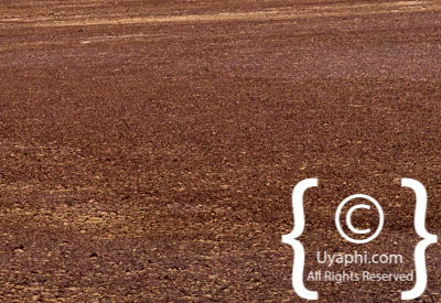 Images Of The Skeleton Coast