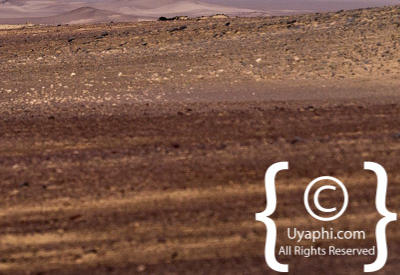 Images Of The Skeleton Coast