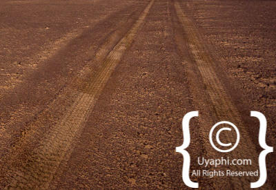 Images Of The Skeleton Coast