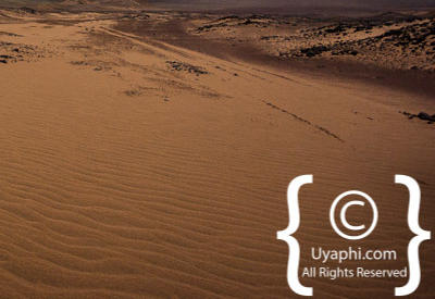 Images Of The Skeleton Coast